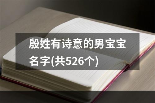 殷姓有诗意的男宝宝名字(共526个)