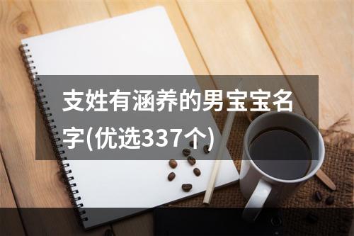 支姓有涵养的男宝宝名字(优选337个)