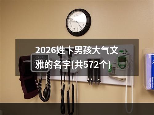2026姓卞男孩大气文雅的名字(共572个)