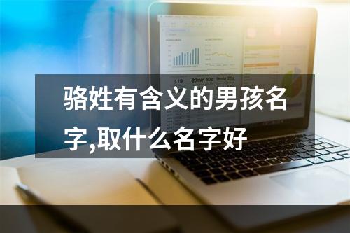骆姓有含义的男孩名字,取什么名字好