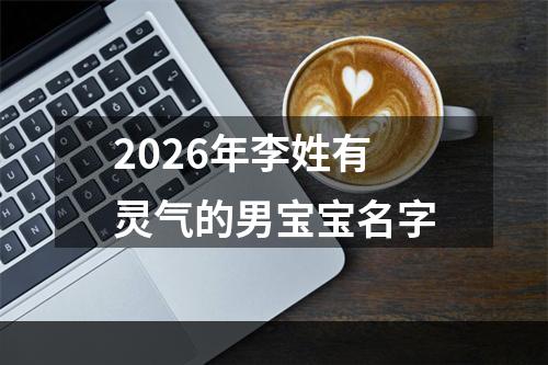 2026年李姓有灵气的男宝宝名字