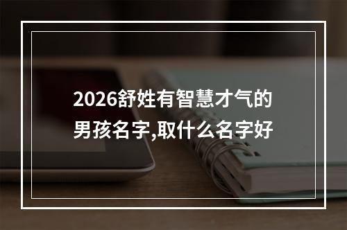 2026舒姓有智慧才气的男孩名字,取什么名字好