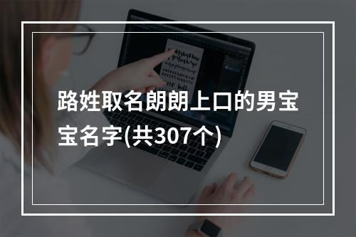 路姓取名朗朗上口的男宝宝名字(共307个)