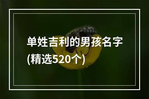 单姓吉利的男孩名字(精选520个)
