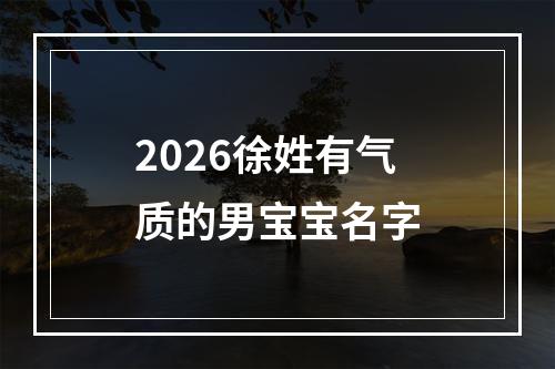 2026徐姓有气质的男宝宝名字