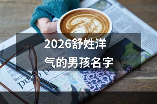 2026舒姓洋气的男孩名字