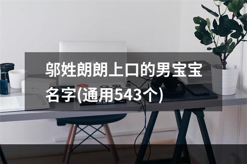邬姓朗朗上口的男宝宝名字(通用543个)