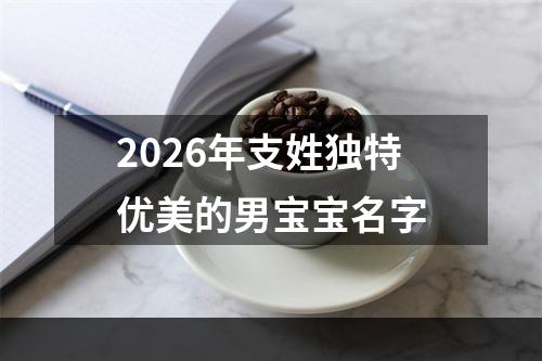 2026年支姓独特优美的男宝宝名字