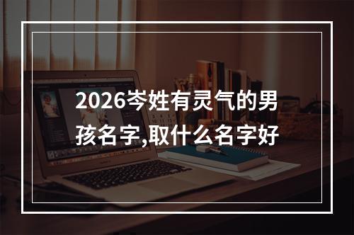 2026岑姓有灵气的男孩名字,取什么名字好
