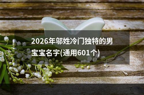 2026年邬姓冷门独特的男宝宝名字(通用601个)
