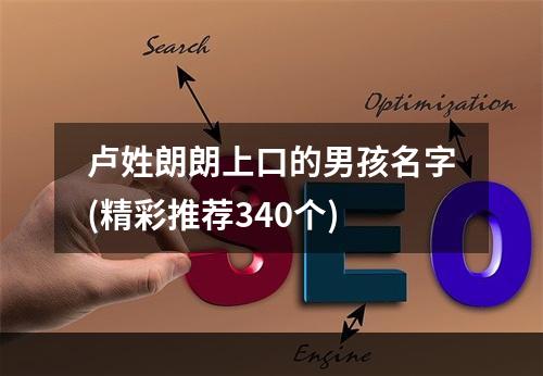 卢姓朗朗上口的男孩名字(精彩推荐340个)