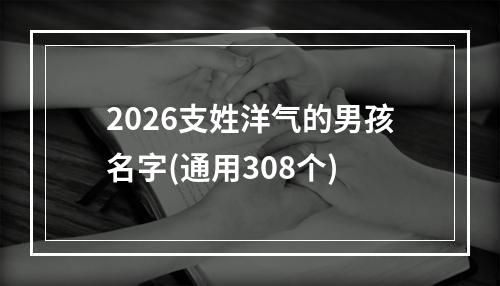 2026支姓洋气的男孩名字(通用308个)