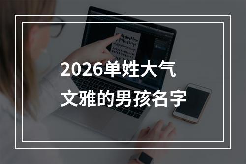 2026单姓大气文雅的男孩名字