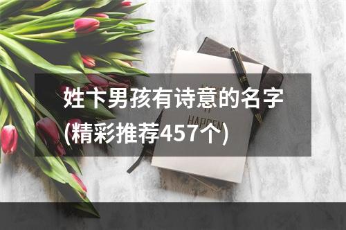 姓卞男孩有诗意的名字(精彩推荐457个)