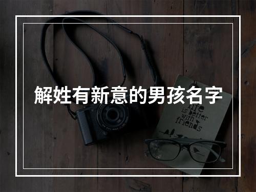解姓有新意的男孩名字