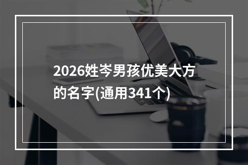2026姓岑男孩优美大方的名字(通用341个)