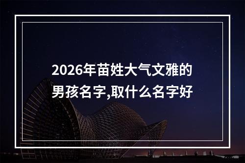 2026年苗姓大气文雅的男孩名字,取什么名字好