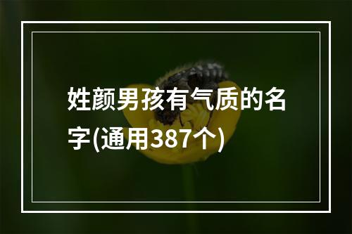 姓颜男孩有气质的名字(通用387个)