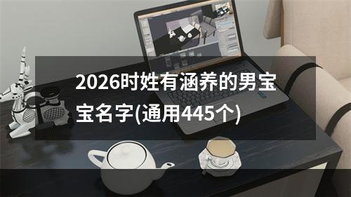 2026时姓有涵养的男宝宝名字(通用445个)