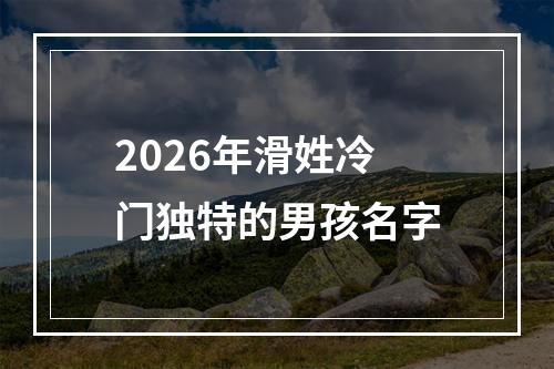 2026年滑姓冷门独特的男孩名字
