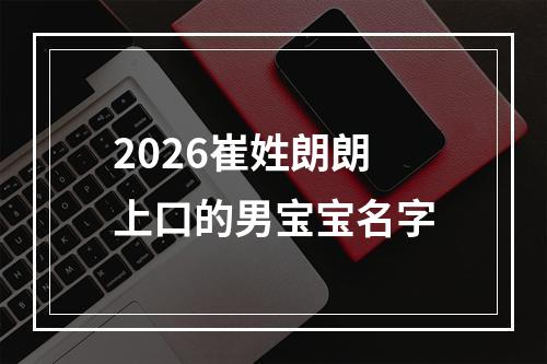 2026崔姓朗朗上口的男宝宝名字