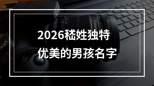 2026嵇姓独特优美的男孩名字