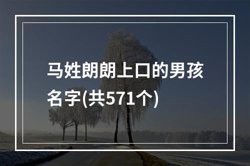 马姓朗朗上口的男孩名字(共571个)
