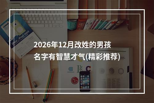 2026年12月改姓的男孩名字有智慧才气(精彩推荐)