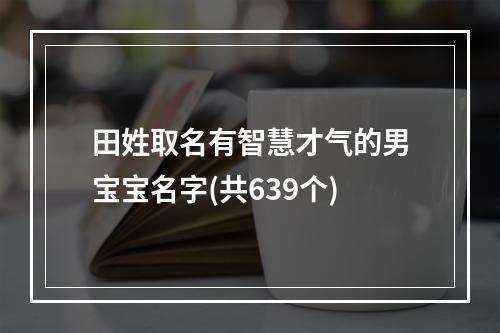 田姓取名有智慧才气的男宝宝名字(共639个)