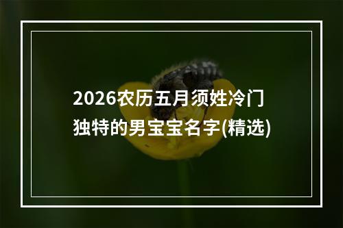 2026农历五月须姓冷门独特的男宝宝名字(精选)
