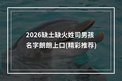 2026缺土缺火姓司男孩名字朗朗上口(精彩推荐)