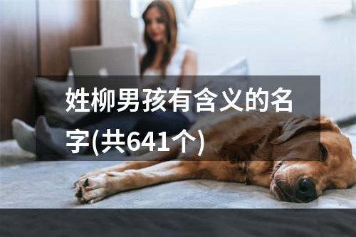 姓柳男孩有含义的名字(共641个)