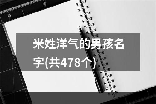 米姓洋气的男孩名字(共478个)