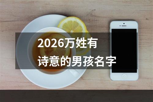 2026万姓有诗意的男孩名字