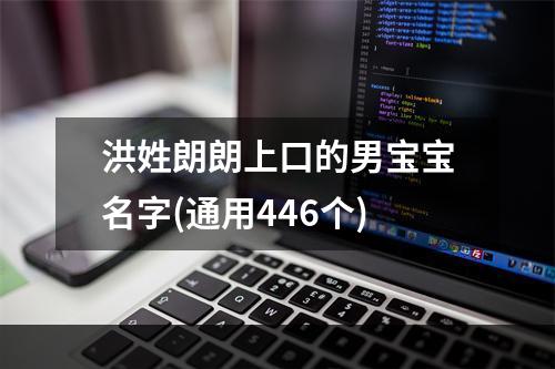 洪姓朗朗上口的男宝宝名字(通用446个)